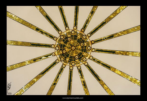 DSC_0103 DSC 0103
