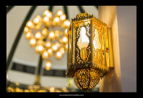 DSC_0107 DSC 0107