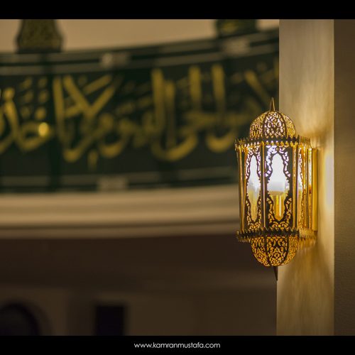 DSC_0137 DSC_0137