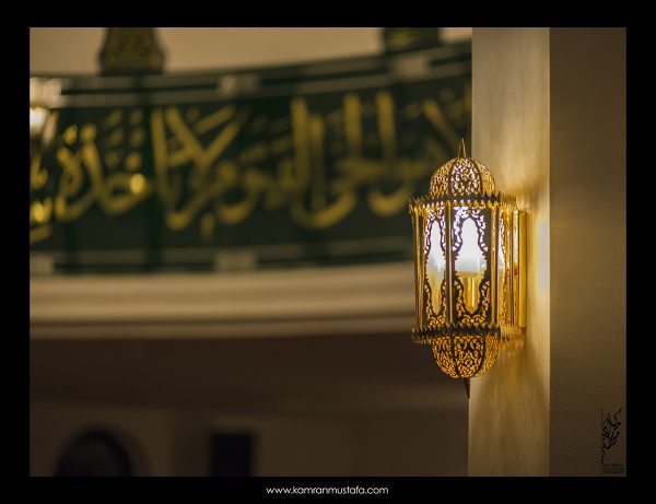 DSC_0137 DSC 0137