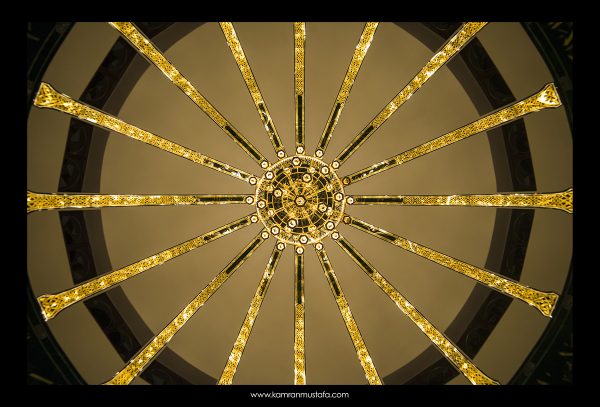 DSC_0146 DSC 0146